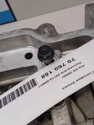 221102M811 Hyundai-Kia Головка блока Kia K5 3 Арт E70760158, вид 17