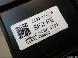86531Q5500 Hyundai-Kia Решетка в бампер центральная Kia Seltos Арт E100504601, вид 9