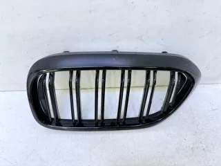51137383519 Решетка радиатора BMW 5 G30/G31 Арт VZ230988, вид 1