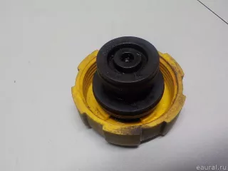 9202799 GM Крышка расширительного бачка Saab 9-3 2 Арт E52484054, вид 4