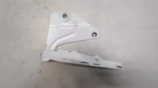 PAD823296,9J1823296CY Петля капота правая Porsche Taycan Арт 8455049, вид 1