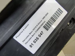 21088007059744 Mercedes Benz Решетка в капот Mercedes E W210 Арт E81035047, вид 6