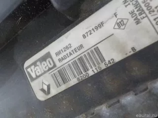8200115542 Renault Радиатор основной Renault Scenic 2 Арт E52478465, вид 12