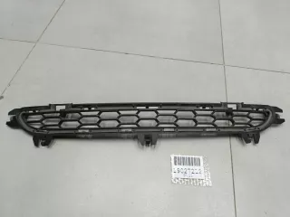 51117210466 Решётка в бампер центральная BMW X3 F25 Арт Z344813, вид 1