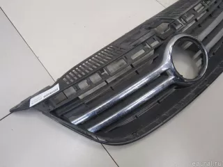 5N0853651C2ZZ VAG Решетка радиатора Volkswagen Tiguan 1 Арт E81035012, вид 2