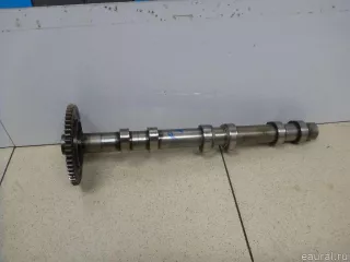 5175453AA Chrysler Распредвал выпускной Jeep Cherokee KL Арт E100503456, вид 1
