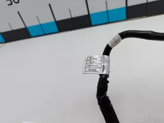 918604L001 Hyundai-Kia Клемма аккумулятора минус Kia Rio 3 Арт E48546893, вид 5