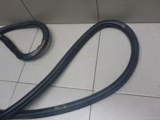 5C6867914G9B9 VAG Уплотнитель двери Volkswagen Jetta 6 Арт E100503812, вид 3