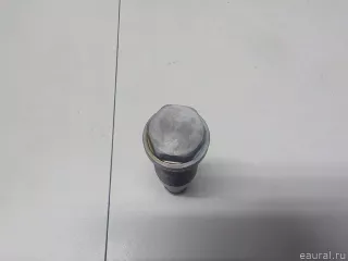 11317617475 BMW Натяжитель цепи BMW X6 G06 Арт E52498688, вид 5
