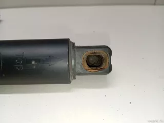 1668900100 Mercedes Benz Амортизатор двери багажника Mercedes S C217 Арт E23633791, вид 2