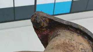 200104EM0A Nissan Приемная труба глушителя Nissan Qashqai 2 restailing Арт E103071938, вид 8