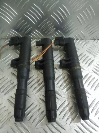 0040100052 Катушка зажигания Renault Laguna 2 Арт 20401, вид 1
