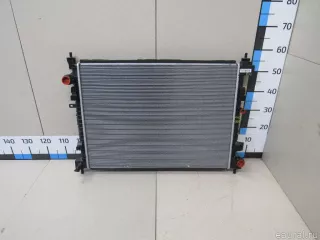 1301133XGW01A Great Wall Радиатор основной Haval Jolion Арт E81056493, вид 1
