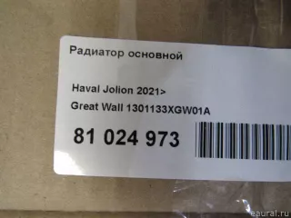 1301133XGW01A Great Wall Радиатор основной Haval Jolion Арт E81056493, вид 7