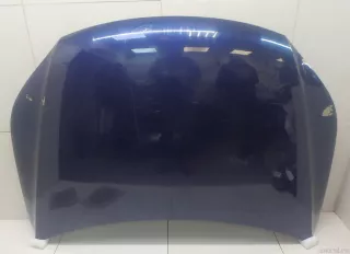 5N0823031D VAG Капот Volkswagen Tiguan 1 Арт E95743547, вид 1