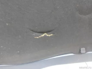 5N0823031D VAG Капот Volkswagen Tiguan 1 Арт E95743547, вид 20