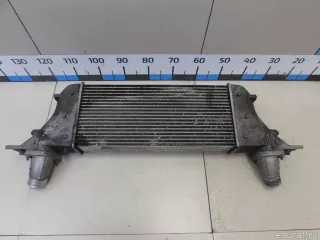 144615X20A Nissan Интеркулер Nissan Pathfinder 4 Арт E81057012, вид 8