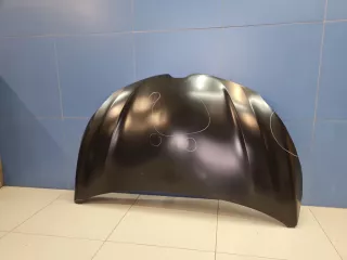 STRN160150CN Капот Renault Kaptur Арт ZAP345149, вид 7