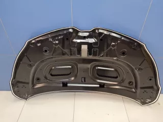 STRN160150CN Капот Renault Kaptur Арт ZAP345149, вид 8