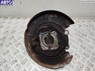 33321093655 Кулак (корпус ступицы) задний левый BMW 5 E39 Арт 55022089, вид 1