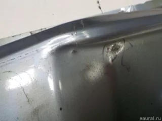 902100001R Renault Дверь багажника нижняя Renault Koleos Арт E52506488, вид 9