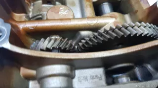 06F103295P VAG Насос масляный Volkswagen Eos Арт E70778698, вид 4