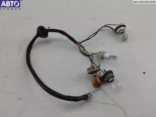  Патрон лампы фонаря Chevrolet Captiva Арт 55045964, вид 1