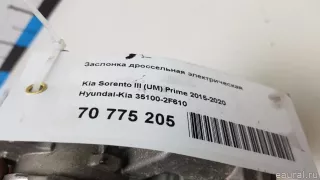 351002F610 Hyundai-Kia Заслонка дроссельная электрическая Kia Sorento 3 restailing Арт E70775205, вид 7