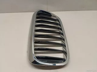 51137383519 BMW Решетка радиатора левая BMW 5 G30/G31 Арт E23700663, вид 6