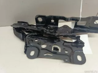 41007427051 BMW Петля капота левая BMW X6 G06 Арт E70776188, вид 5