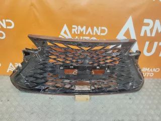 602003684AA, 4 решетка радиатора Omoda S5 Арт AR294366, вид 1