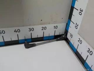 31356881092 BMW Стойка стабилизатора передняя BMW X4 G02 Арт E52521643, вид 6