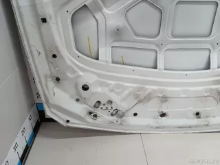 41007290944 BMW Капот BMW X4 F26 Арт E103085083, вид 11