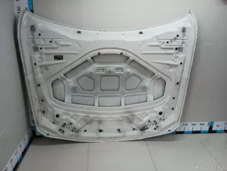 41007290944 BMW Капот BMW X4 F26 Арт E103085083, вид 9
