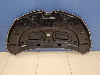 STRN160150CN Капот Renault Kaptur Арт ZAP332175, вид 8