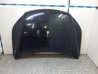 5N0823031D VAG Капот Volkswagen Tiguan 1 Арт E23714518, вид 1
