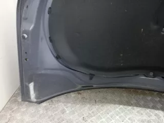 5N0823031D VAG Капот Volkswagen Tiguan 1 Арт E23714518, вид 11