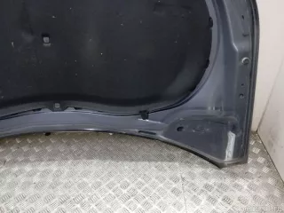 5N0823031D VAG Капот Volkswagen Tiguan 1 Арт E23714518, вид 14