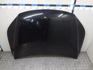 5N0823031D VAG Капот Volkswagen Tiguan 1 Арт E23714518, вид 2