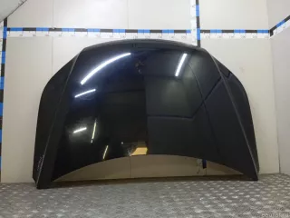 5N0823031D VAG Капот Volkswagen Tiguan 1 Арт E23714518, вид 3
