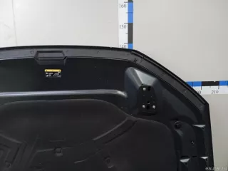  Капот Audi A7 2 (S7,RS7) Арт E23703114, вид 15