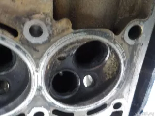 03F103351 VAG Головка блока цилиндров Volkswagen Golf PLUS 2 Арт E52527895, вид 12