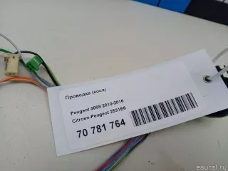 2531E6 Citroen-Peugeot Жгут проводов (Проводка) Peugeot RCZ Арт E70781764, вид 8