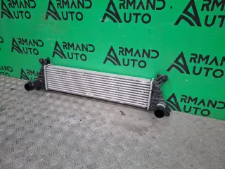 1119105XKM01A, 8 интеркулер Tank 300 Арт 365654RM, вид 3