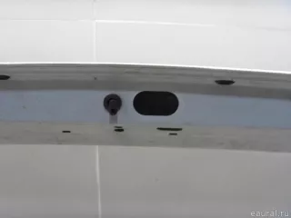 901003101R Renault Дверь багажника Renault Duster 2 Арт E52523958, вид 19