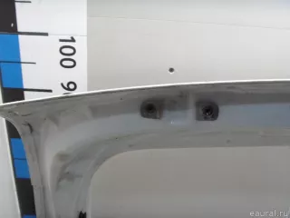 901003101R Renault Дверь багажника Renault Duster 2 Арт E52523958, вид 20