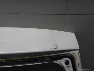 901003101R Renault Дверь багажника Renault Duster 2 Арт E52523958, вид 6