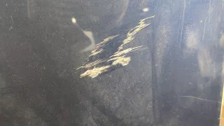41003449411,3449411 Капот синий BMW X3 E83 Арт 20223403, вид 4