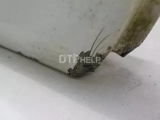 9008N3 Дверь задняя правая Peugeot 407 Арт AM52503969, вид 3