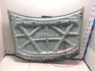 6510095F0C Капот Nissan Almera Classic B10 Арт AM90412818, вид 6